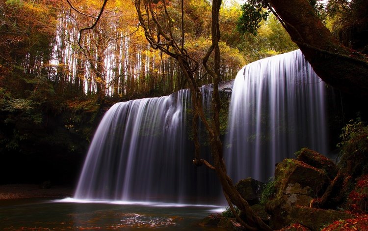 деревья, природа, камни, лес, водопад, осень, лоза, красиво, trees, nature, stones, forest, waterfall, autumn, vine, beautiful