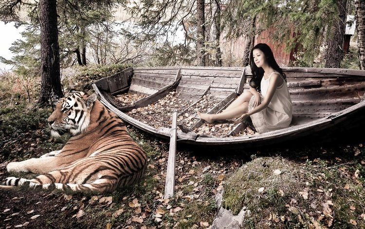тигр, деревья, девушка, лодка, опавшие листья, tiger, trees, girl, boat, fallen leaves