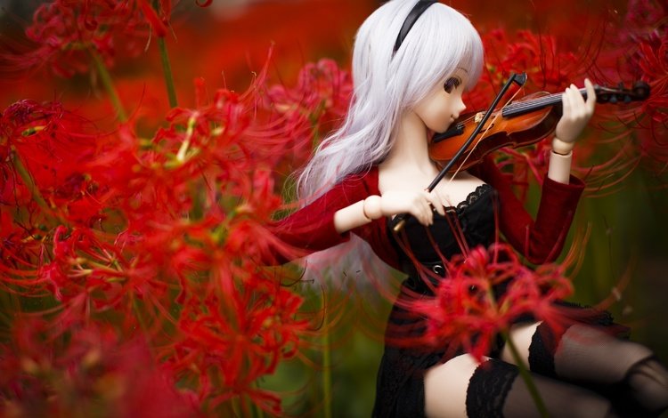 цветы, скрипка, кукла, flowers, violin, doll