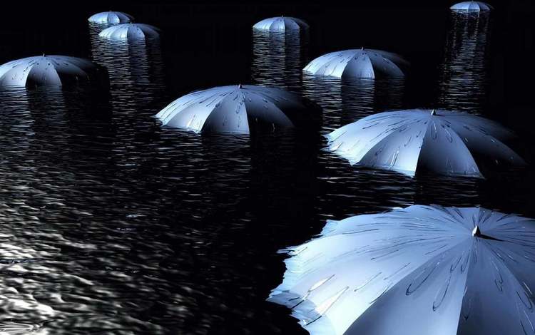 дождь, зонт, зонтики, в воде, затопленные, зонты., проливной, rain, umbrella, umbrellas, in the water, flooded, umbrellas., pouring