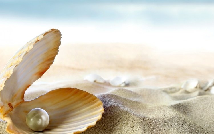 на песке, раковина жемчужница, жемчужина, on the sand, shell pearl, pearl