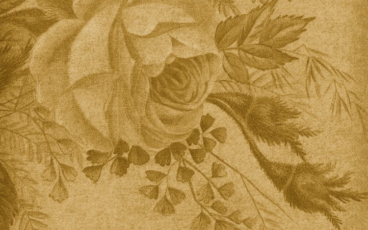текстура, винтаж, роза, texture, vintage, rose
