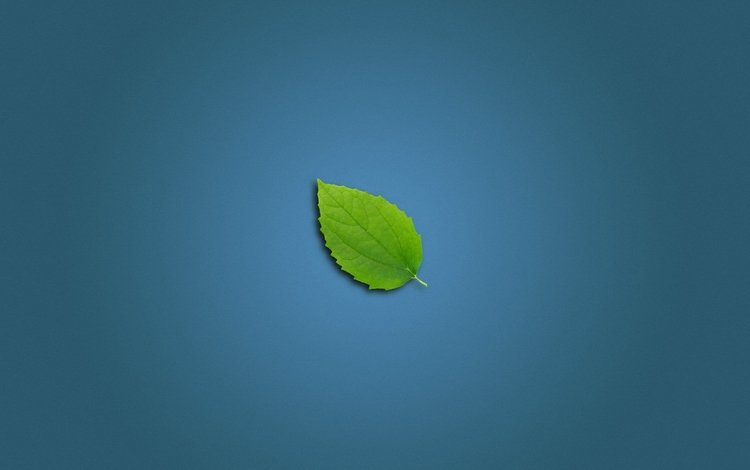 зеленый листок, green leaf