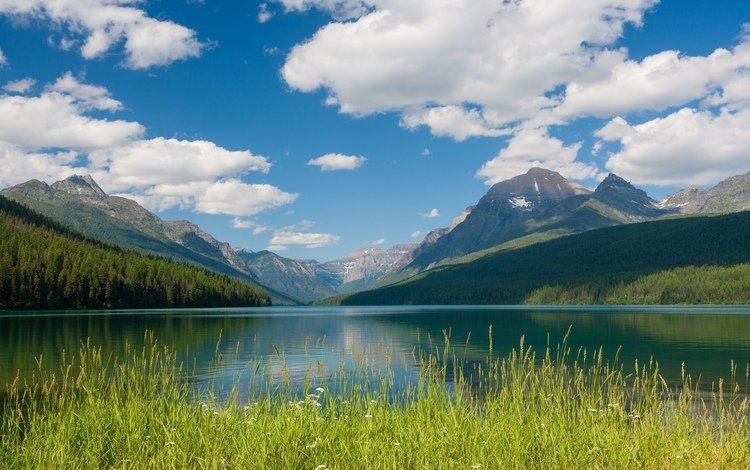 монтана, bowman lake, национальный парк глейшер, montana, glacier national park