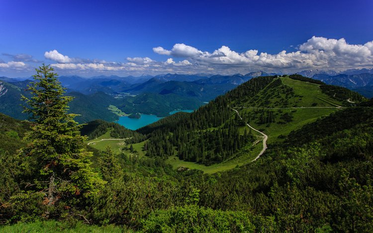 леса, германия, bavarian alps, баварские альпы, озеро., forest, germany, the bavarian alps, the lake.