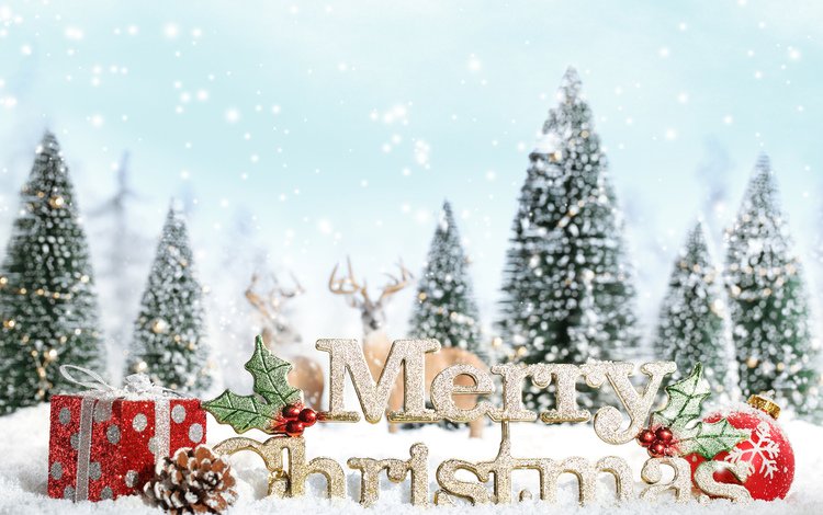 снег, орнаменты, декорация, встреча нового года, presents, счастливого рождества, новогодняя елка, белоцветник, snow, ornaments, decoration, new year, merry christmas, christmas tree, snowflake