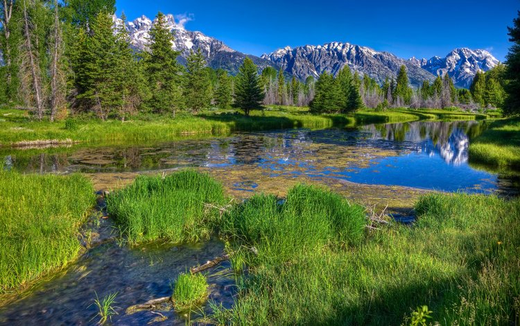 трава, деревья, река, горы, лес, даль, зеленая, речка, grass, trees, river, mountains, forest, dal, green