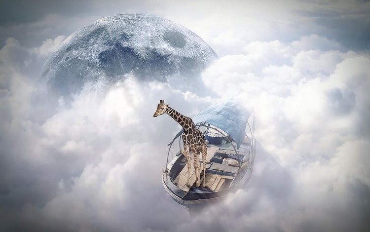 жираф, photomanipulation, finearts, небо моряк, giraffe, sky sailor
