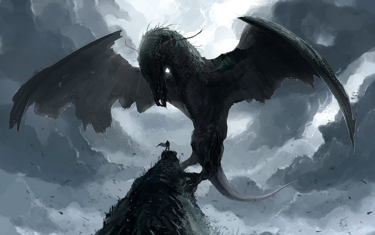 дракон, dragon