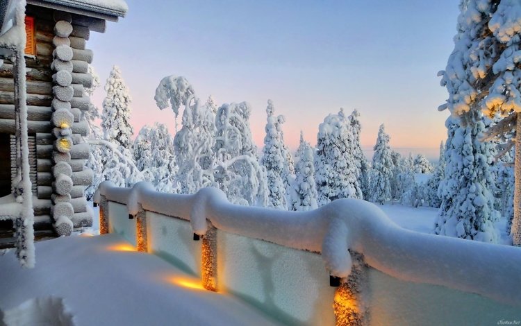 лес, зима, домик из сруба, forest, winter, the house from logs