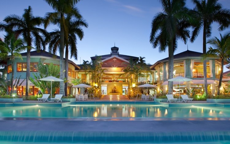 пальмы, бассейн, курорт, palm trees, pool, resort