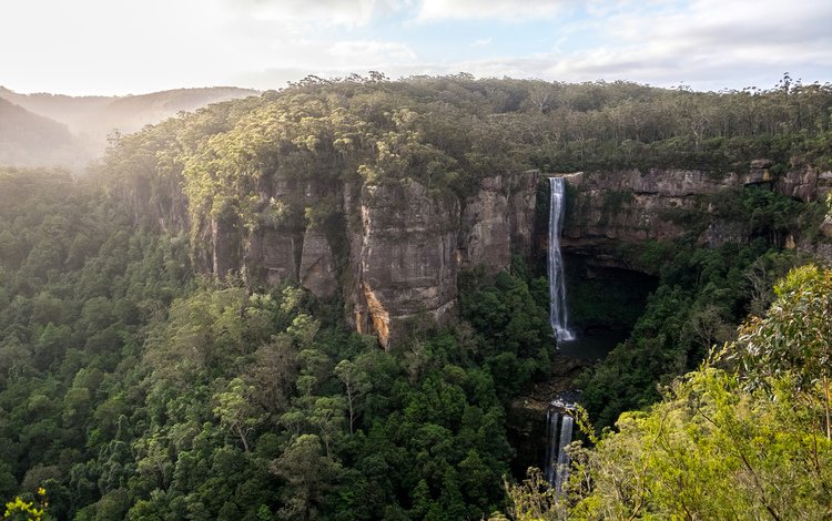 скалы, лес, панорама, водопад, австралия, belmore falls, водопад белмор, kangaroo valley, rocks, forest, panorama, waterfall, australia