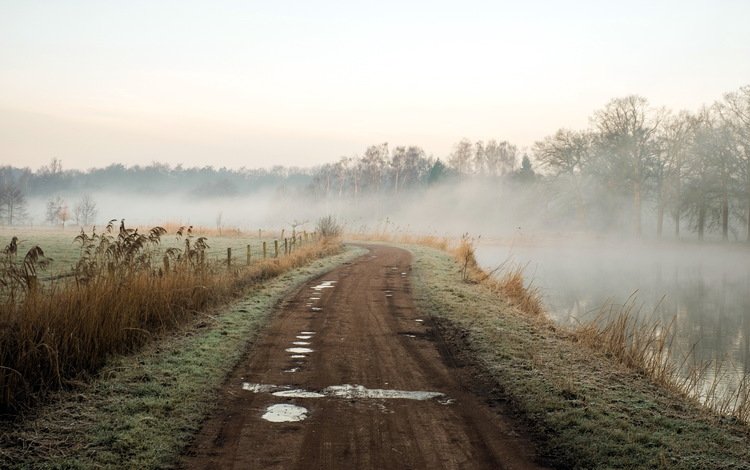 дорога, река, природа, пейзаж, утро, туман, road, river, nature, landscape, morning, fog