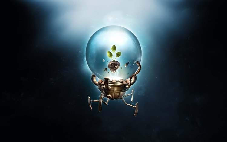 росток в стеклянном шаре - мини оранжерее, sprout in a glass bowl - mini greenhouse
