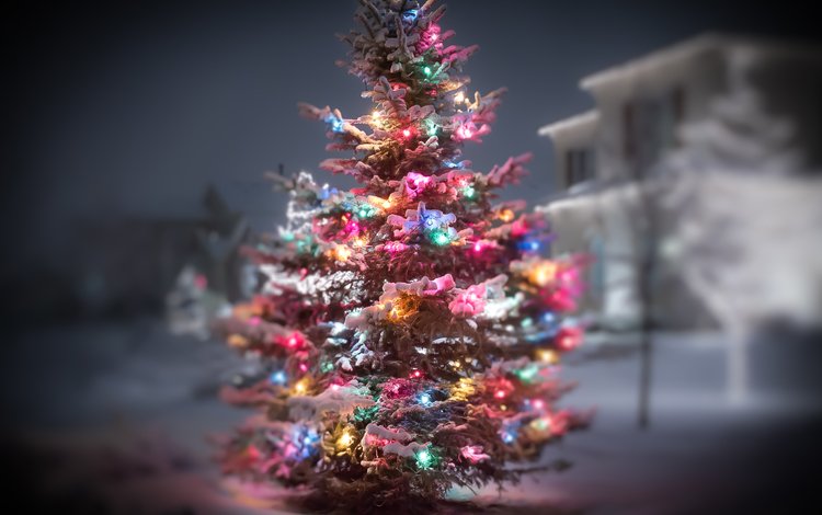 огни, снег, новый год, елка, зима, гирлянда, lights, snow, new year, tree, winter, garland