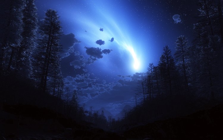 ночь, лес, комета, night, forest, comet
