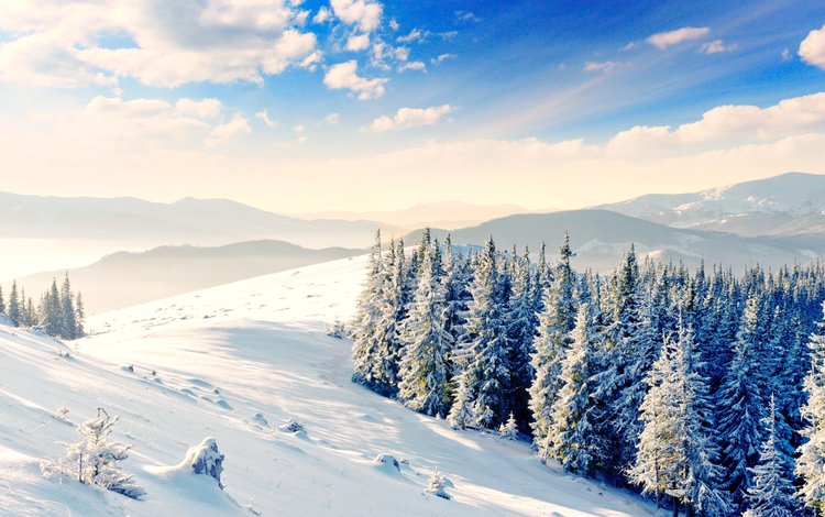 горы, снег, лес, зима, mountains, snow, forest, winter