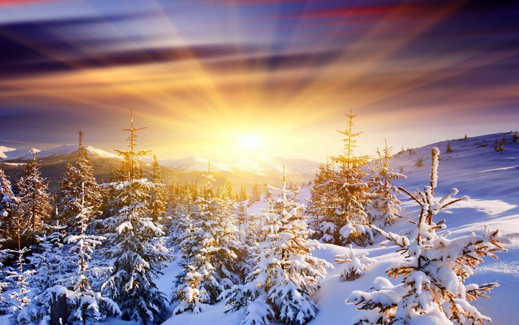 восход, солнце, снег, лес, зима, sunrise, the sun, snow, forest, winter
