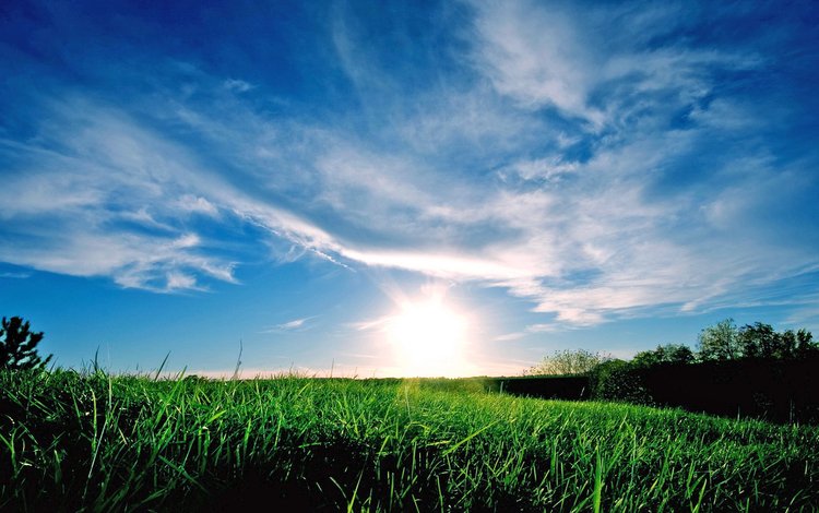 небо, трава, облака, солнце, поле, горизонт, the sky, grass, clouds, the sun, field, horizon