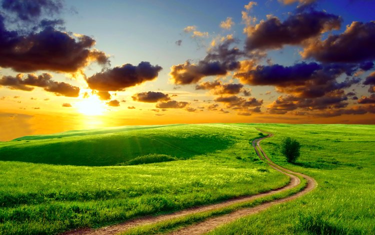 дорога, солнце, поле, road, the sun, field