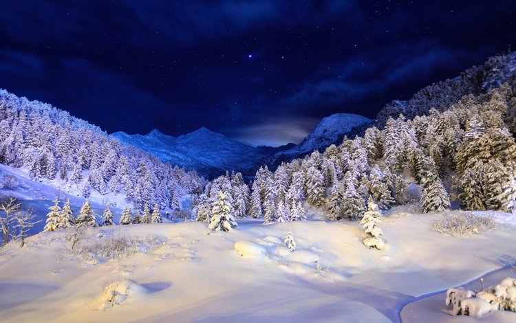 небо, ночь, горы, снег, дерево, лес, зима, the sky, night, mountains, snow, tree, forest, winter