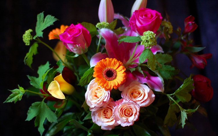 цветы, лепестки, букет, flowers, petals, bouquet