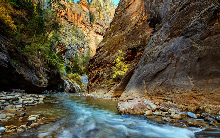 река, скалы, ущелье, zion national park, river, rocks, gorge