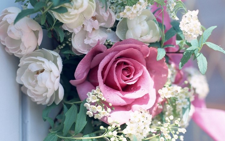 розы, букет, праздник, нежные, пионы, яркие цветы, красочные цветы, roses, bouquet, holiday, gentle, peonies, bright colors, colorful flowers