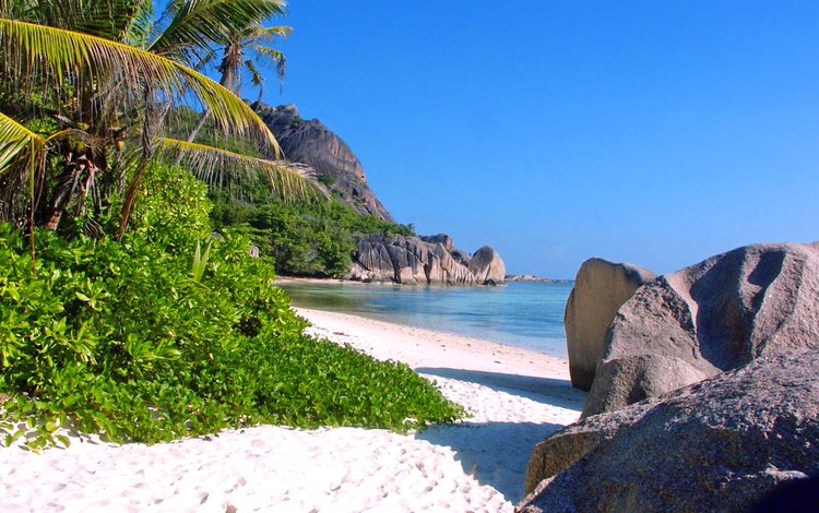 камни, море, песок, пляж, тропики, stones, sea, sand, beach, tropics