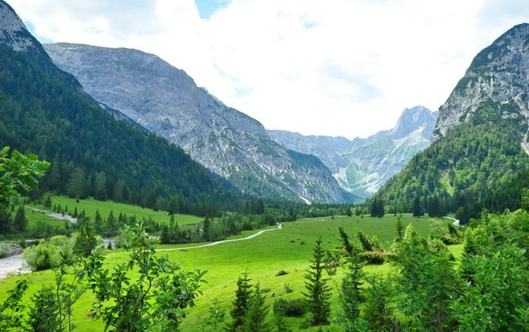 деревья, горы, природа, австрия, тироль, trees, mountains, nature, austria, tyrol