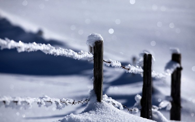 снег, природа, зима, забор, snow, nature, winter, the fence