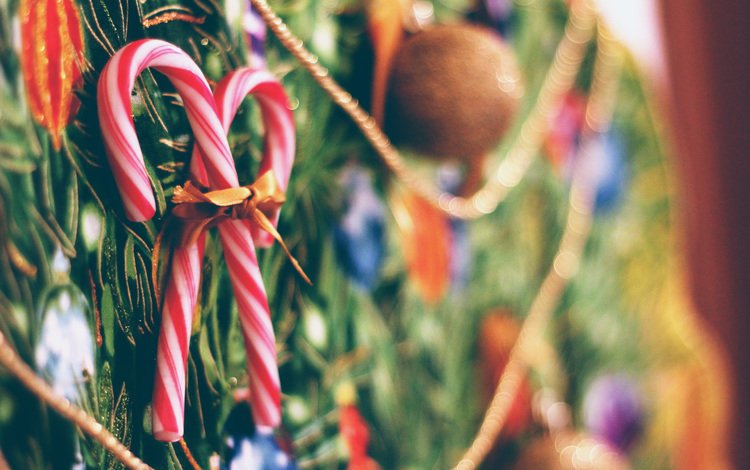 новый год, украшения, праздник, леденцы, новогодние украшения, new year, decoration, holiday, lollipops, christmas decorations