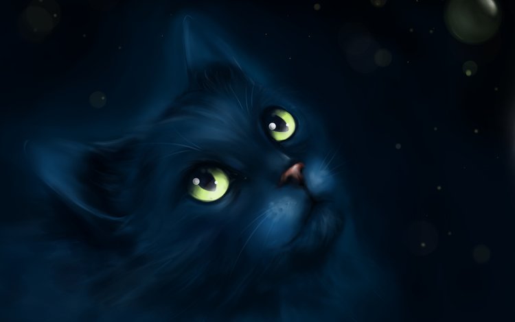арт, рисунок, мордочка, усы, взгляд, живопись, черный кот, art, figure, muzzle, mustache, look, painting, black cat