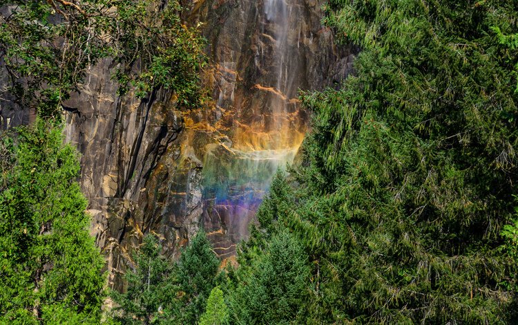лес, скала, водопад, радуга, йосемитский национальный парк, forest, rock, waterfall, rainbow, yosemite national park