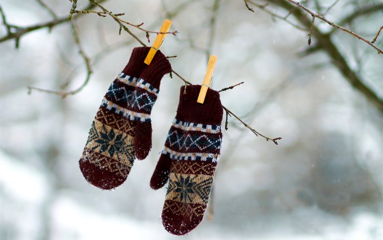 снег, зима, ветки, рукавички, прищепки, варежки, snow, winter, branches, gloves, clothespins, mittens