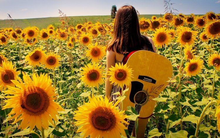 девушка, поле, гитара, лето, подсолнухи, girl, field, guitar, summer, sunflowers