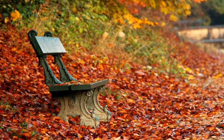 парк, осень, скамейка, скамья, park, autumn, bench