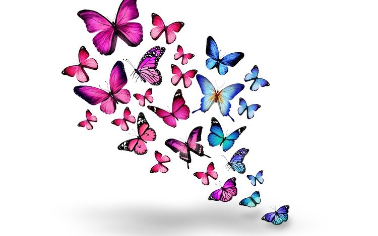 насекомые, розовые, бабочки, синие, 3д, insects, pink, butterfly, blue, 3d