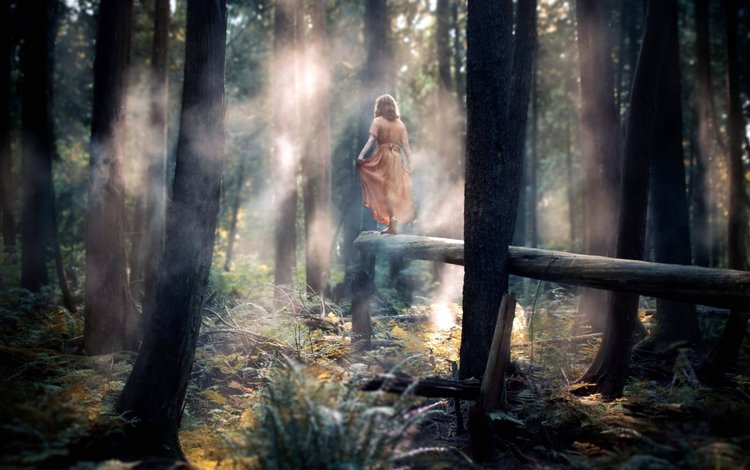 лес, девушка, настроение, платье, туман, forest, girl, mood, dress, fog