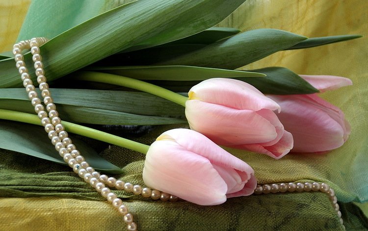 букет, тюльпаны, бусы, bouquet, tulips, beads