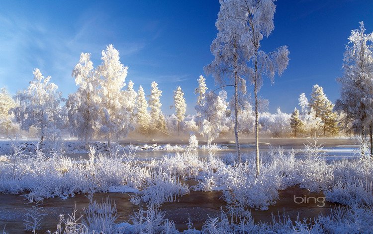небо, деревья, вода, снег, зима, пейзаж, иней, the sky, trees, water, snow, winter, landscape, frost