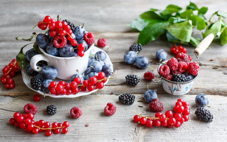 малина, ягоды, красная смородина, ежевика, сливы, anna verdina, raspberry, berries, red currant, blackberry, plum