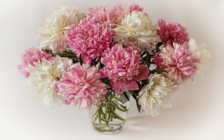 цветы, букет, ваза, пионы, flowers, bouquet, vase, peonies