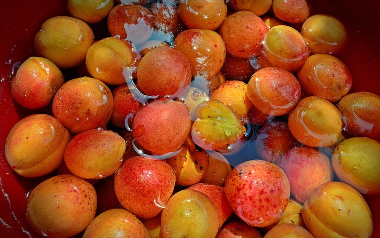 вода, фрукты, урожай, абрикосы, water, fruit, harvest, apricots