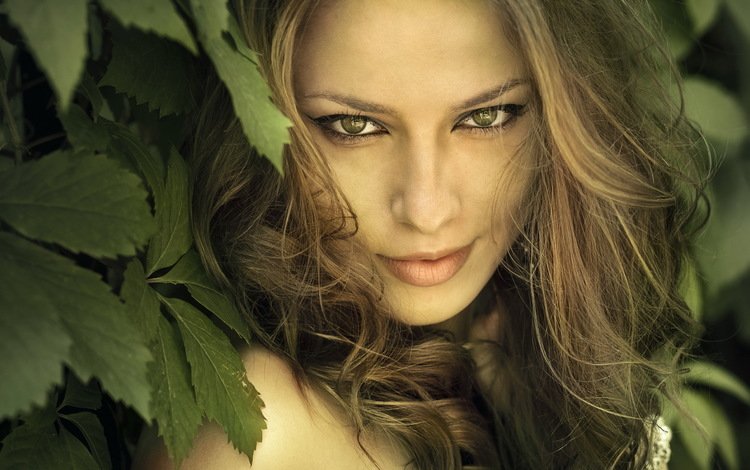 глаза, природа, листья, девушка, взгляд, волосы, лицо, eyes, nature, leaves, girl, look, hair, face