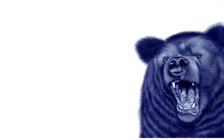 морда, рисунок, фон, медведь, пасть, face, figure, background, bear, mouth