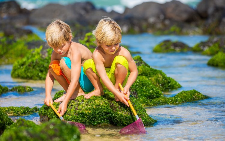 камни, море, дети, сачки, stones, sea, children, nets