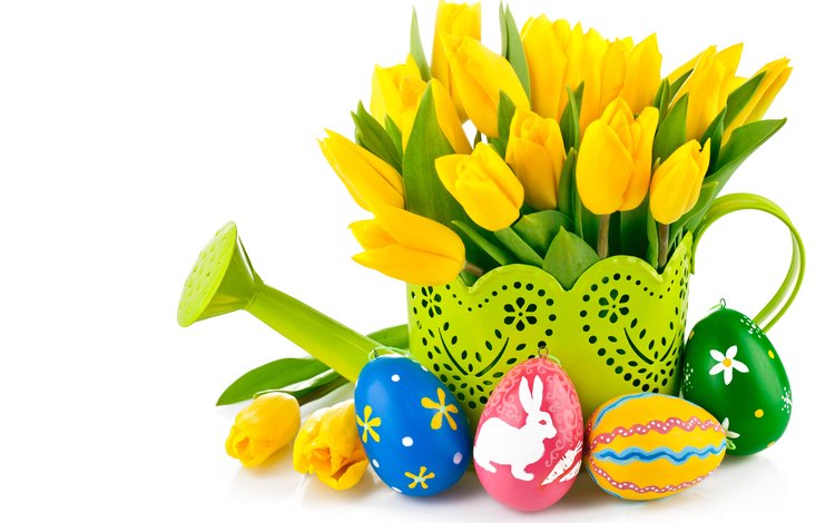тюльпаны, белый фон, пасха, яйца, праздник, лейка, tulips, white background, easter, eggs, holiday, lake