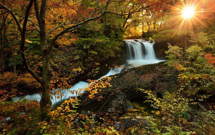 солнце, лес, водопад, осень, природа., the sun, forest, waterfall, autumn, nature.