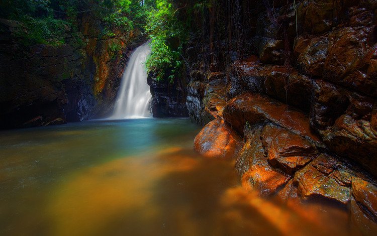 деревья, скалы, водопад, поток, trees, rocks, waterfall, stream